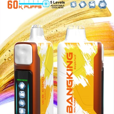 BANGKING 6OK PUFFS DSKO48 拋棄式電子煙 BangKing Ice Cool 60000 Puffs 拋棄式電子煙 60,000 口超長續航 × 25ml 煙油 × 五檔涼度可調